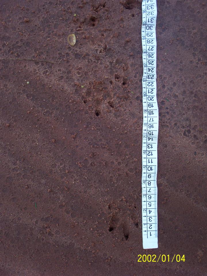 FIGURE 6 FIGURE 6